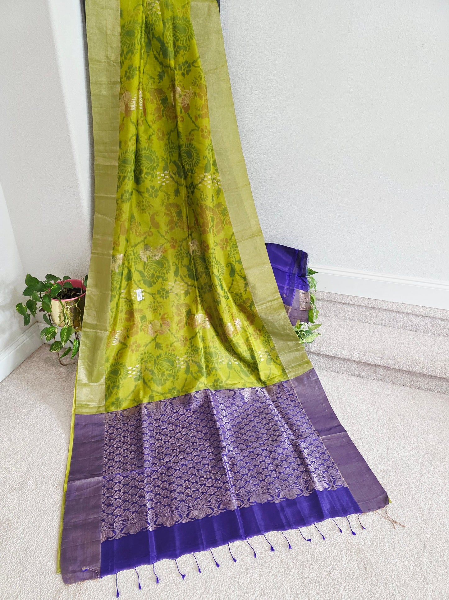 Pistachio Green Semi Kanchi Ikat Pochampally Print Soft Silk Saree with Royal Purple Border