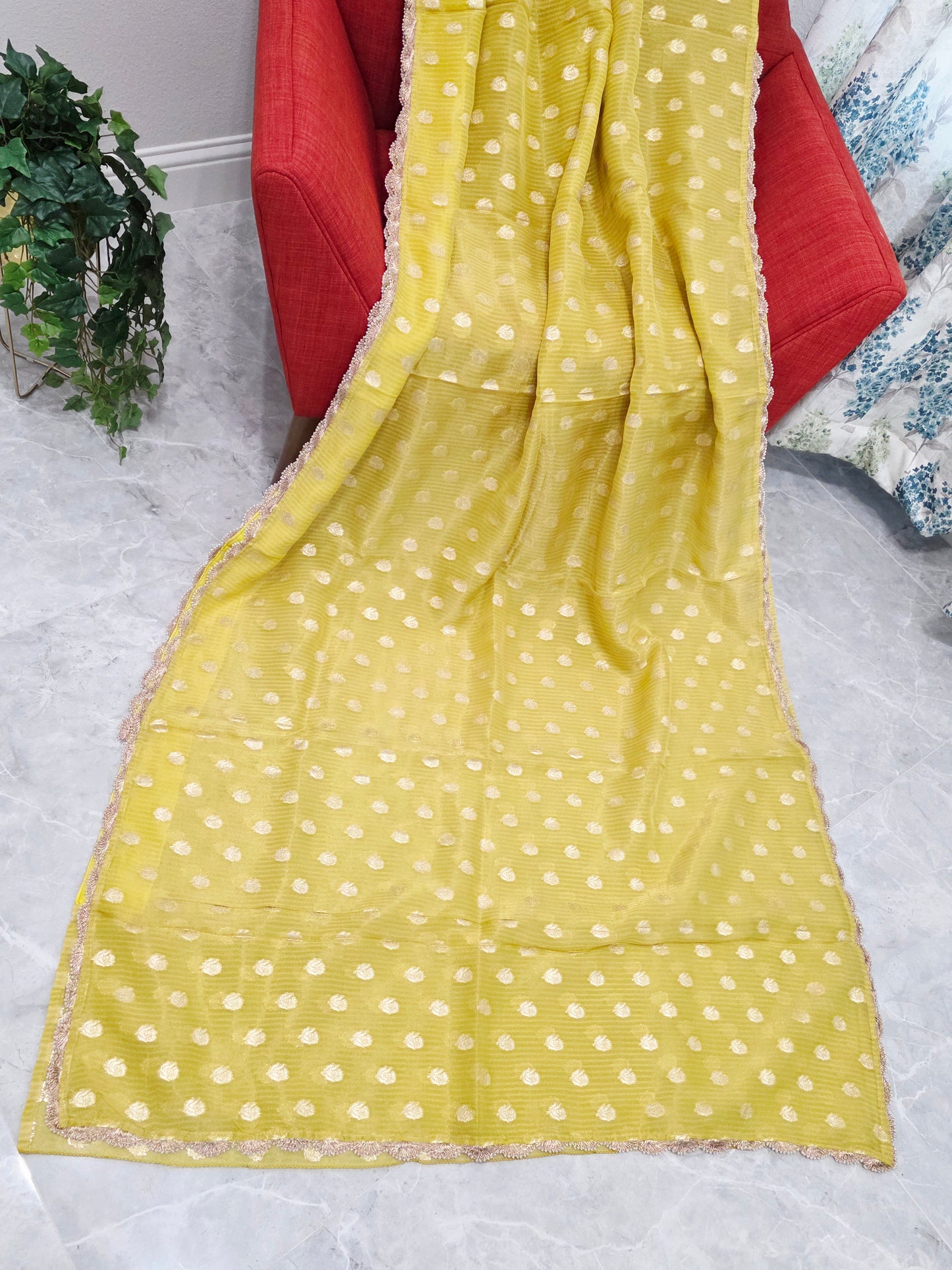 Borderless Olive Yellow Green Khaddi Organza Saree with All-Over Butta & Scalloped Pearl Lace