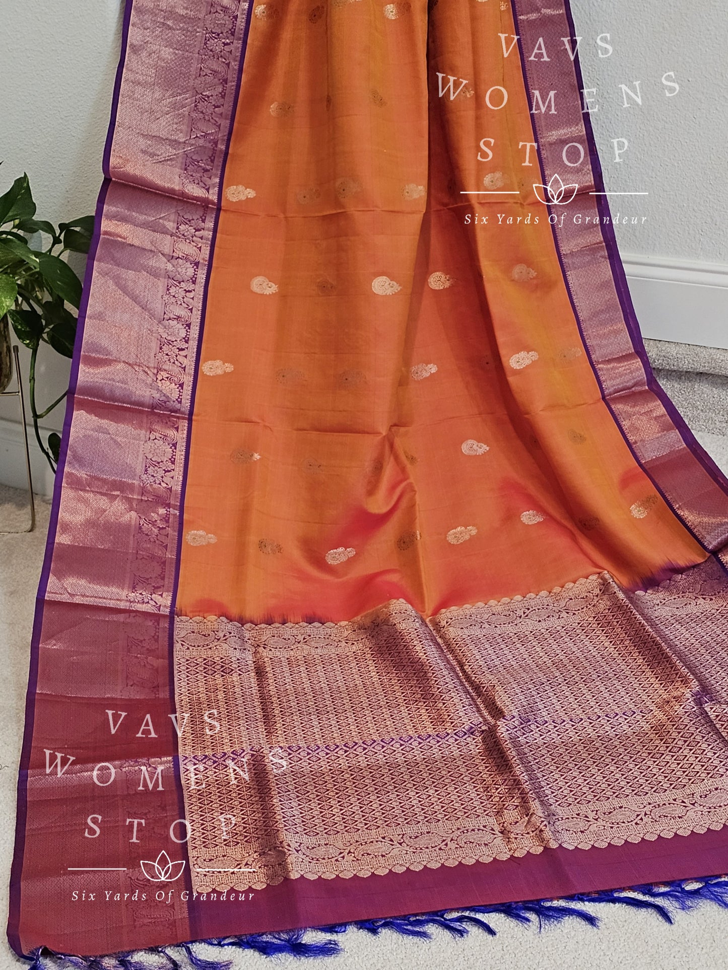 kanchi pattu saree