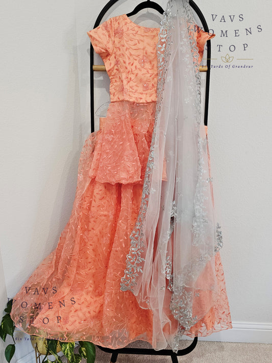 Party Wear Net Lehenga - Crop Top Indian Ethnic Wea