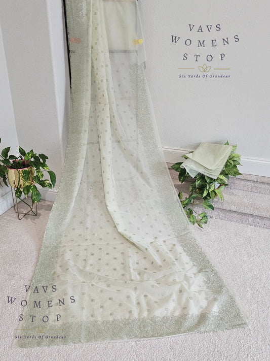 Soft Organza Chikankari Designer Saree