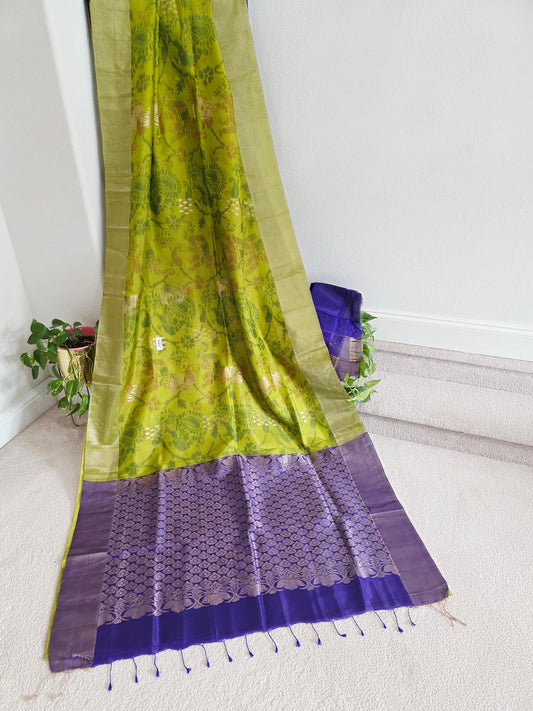Pistachio Green Semi Kanchi Ikat Pochampally Print Soft Silk Saree with Royal Purple Border