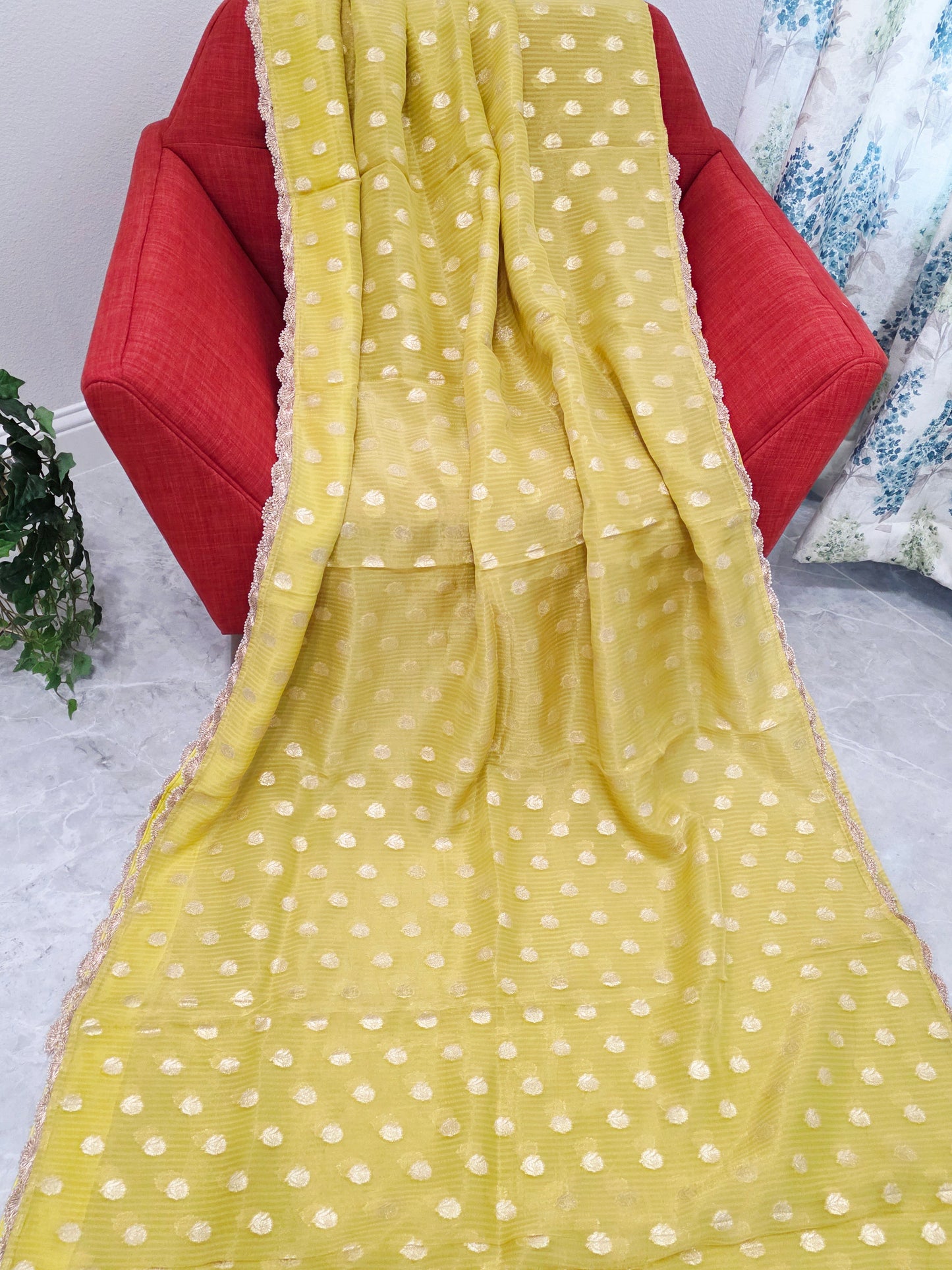 Borderless Olive Yellow Green Khaddi Organza Saree with All-Over Butta & Scalloped Pearl Lace