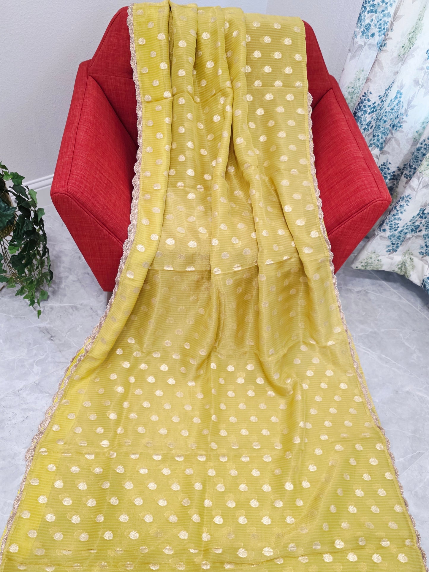 Borderless Olive Yellow Green Khaddi Organza Saree with All-Over Butta & Scalloped Pearl Lace