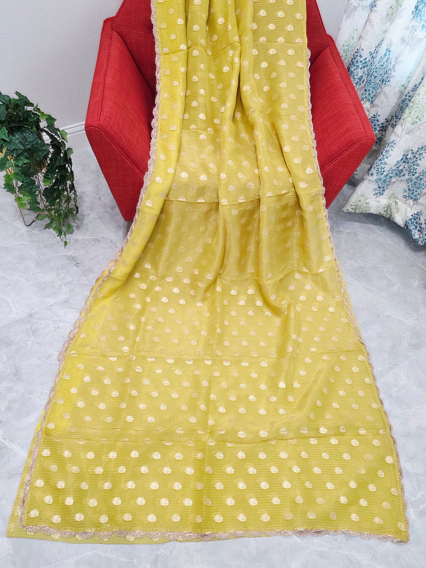 Borderless Olive Yellow Green Khaddi Organza Saree with All-Over Butta & Scalloped Pearl Lace
