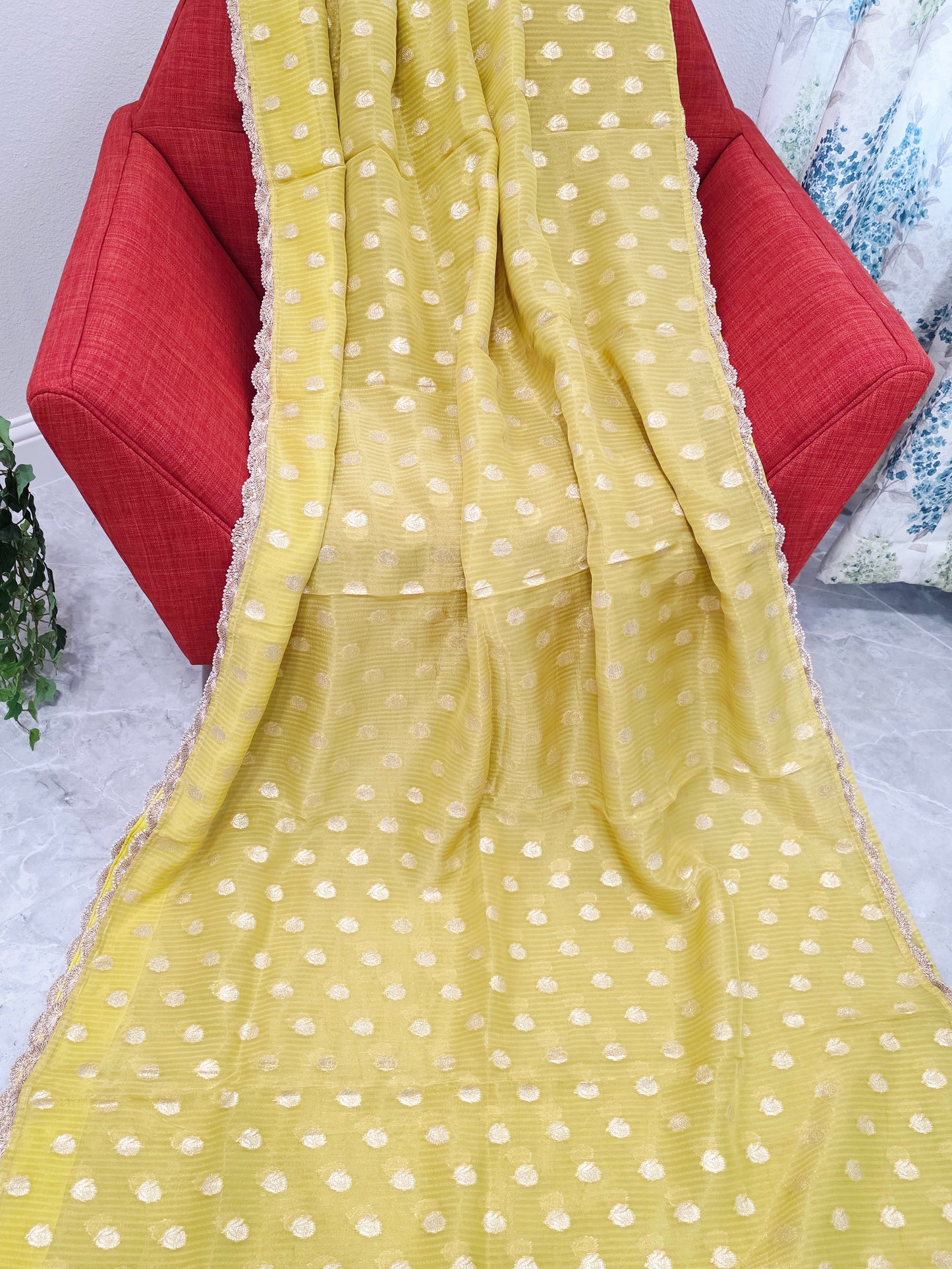Borderless Olive Yellow Green Khaddi Organza Saree with All-Over Butta & Scalloped Pearl Lace