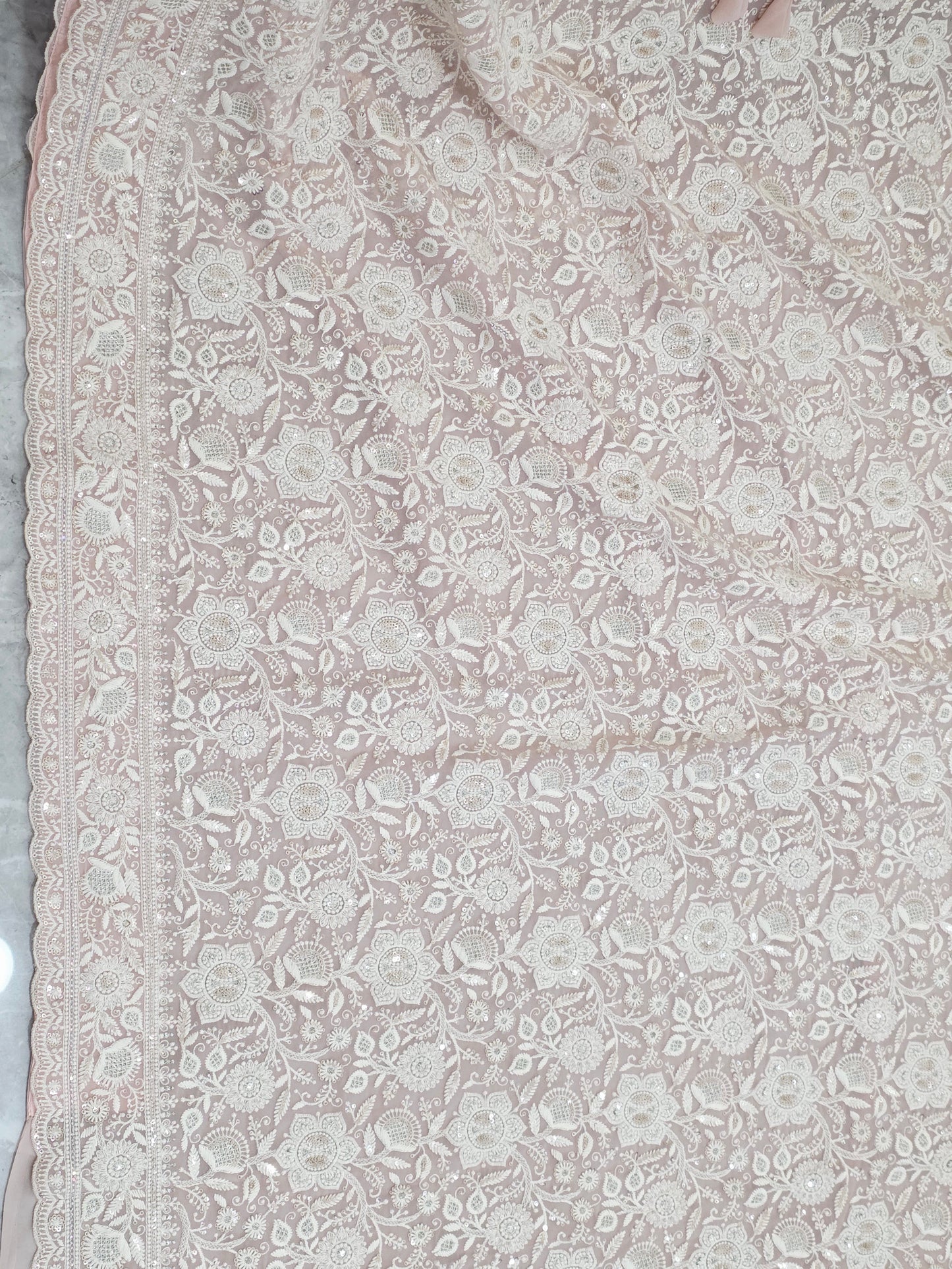 Blush Champagne Nude Viscose Georgette Saree with Pearl White Chikankari Embroidery & Stitched Blouse