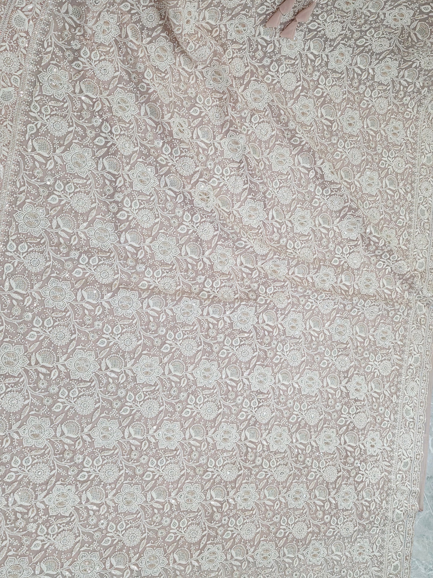 Blush Champagne Nude Viscose Georgette Saree with Pearl White Chikankari Embroidery & Stitched Blouse