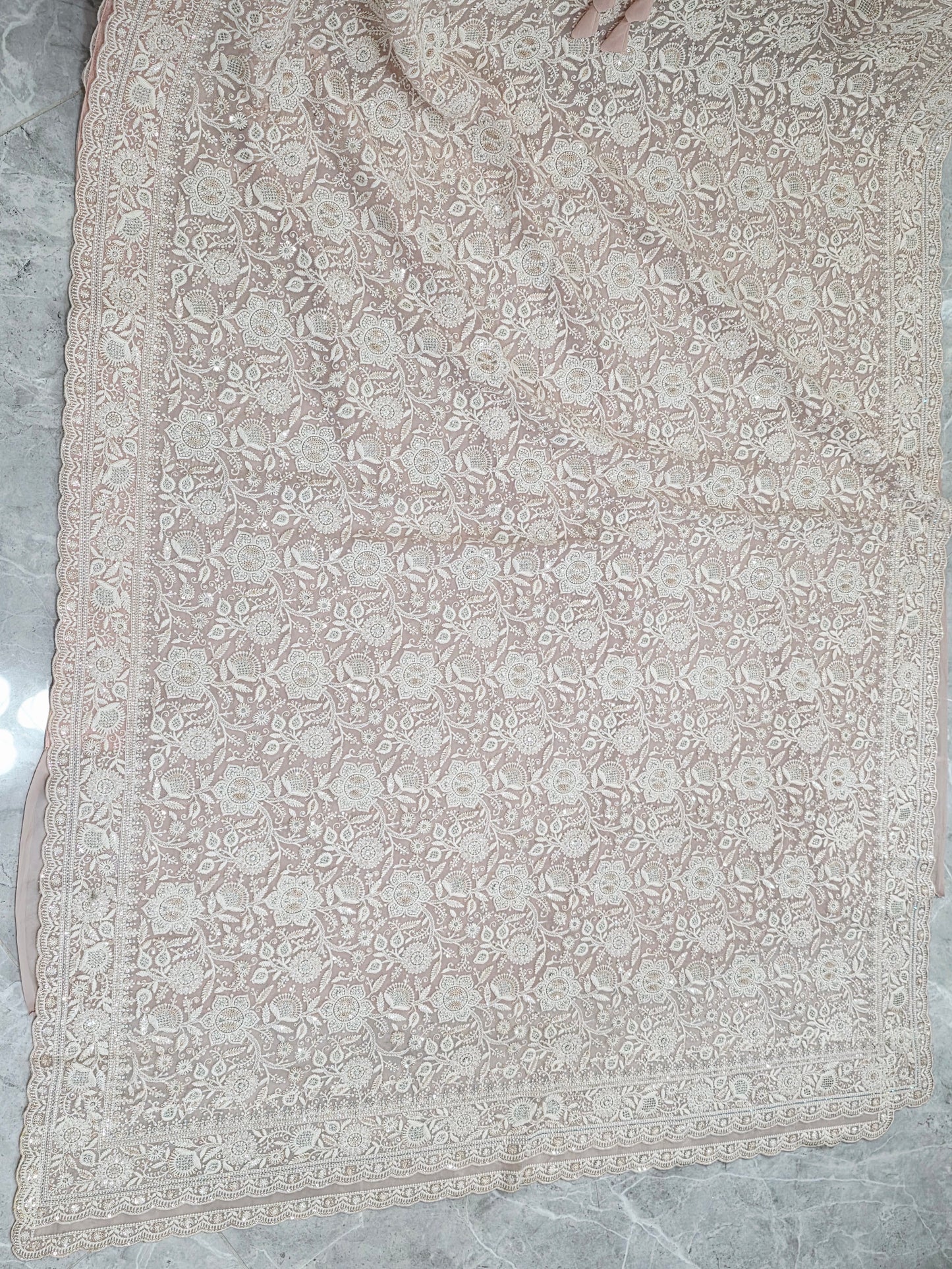 Blush Champagne Nude Viscose Georgette Saree with Pearl White Chikankari Embroidery & Stitched Blouse